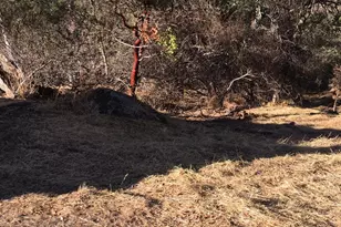 4983 Pueblo Trail, Copperopolis, CA 95228 - Photo 1