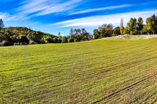 6612 Michel, Mountain Ranch, CA 95246 - Photo 68