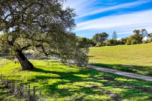 6612 Michel, Mountain Ranch, CA 95246 - Photo 56