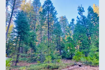 1557 Lily Valley Cir., West Point, CA 95255 - Photo 1