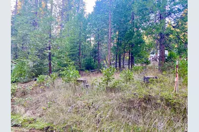 1557 Lily Valley Cir., West Point, CA 95255 - Photo 2