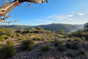 7145 Stewart Mine Rd, Placerville, CA 95667 - Photo 6