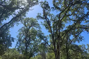 7145 Stewart Mine Rd, Placerville, CA 95667 - Photo 32