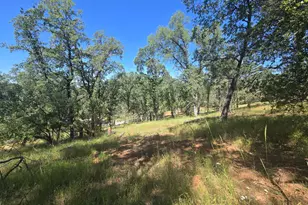 7145 Stewart Mine Rd, Placerville, CA 95667 - Photo 40