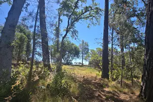 7145 Stewart Mine Rd, Placerville, CA 95667 - Photo 30