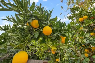 147 4th Ave, Galt, CA 95632 - Photo 30