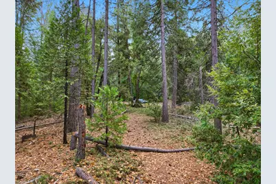 12050 Buckeye Road, Nevada City, CA 95959 - Photo 44