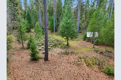 12050 Buckeye Road, Nevada City, CA 95959 - Photo 6