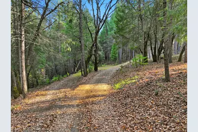 17631 Greenhorn Road, Grass Valley, CA 95945 - Photo 6