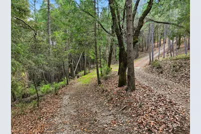 17631 Greenhorn Road, Grass Valley, CA 95945 - Photo 8