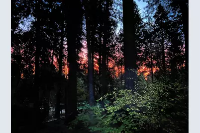 14153 Misty Meadow Lane, Nevada City, CA 95959 - Photo 16