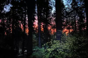 14153 Misty Meadow Ln, Nevada City, CA 95959 - Photo 16