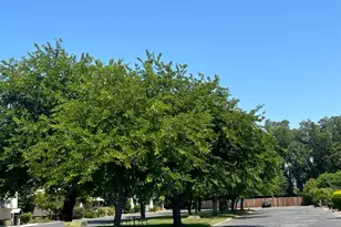 Hwy 70, Marysville, CA 95901 - Photo 16