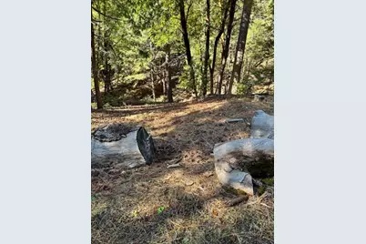 17630 E Antelope Drive E Drive, Pioneer, CA 95666 - Photo 16