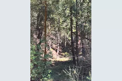 17630 E Antelope Drive E Drive, Pioneer, CA 95666 - Photo 12