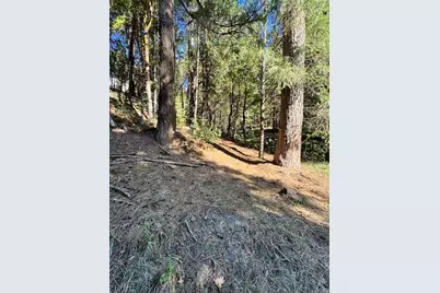 17630 E Antelope Drive E Drive, Pioneer, CA 95666 - Photo 8