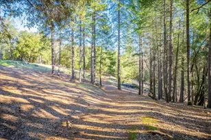 870 Swanson Ln, Colfax, CA 95713 - Photo 46
