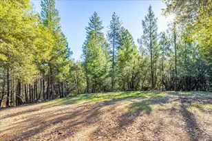870 Swanson Ln, Colfax, CA 95713 - Photo 52