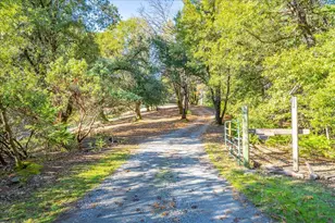 870 Swanson Ln, Colfax, CA 95713 - Photo 54