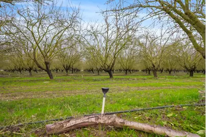 16221 Carrolton Road, Escalon, CA 95320 - Photo 24