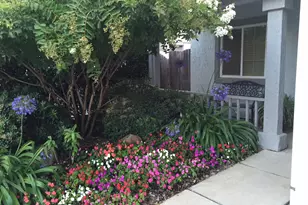 1421 Vigo Ct, Davis, CA 95618 - Photo 58