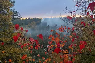 15438 Fay Rd, Grass Valley, CA 95949 - Photo 68