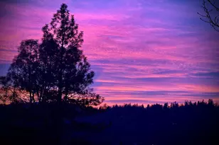 15438 Fay Rd, Grass Valley, CA 95949 - Photo 66