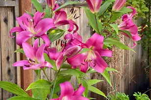 15438 Fay Rd, Grass Valley, CA 95949 - Photo 60