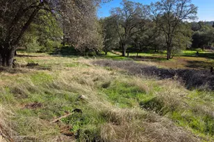 6540 Serendipity Ln, Placerville, CA 95667 - Photo 44