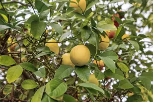 5125 Love Way, Carmichael, CA 95608 - Photo 6