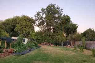 994 Fleda Ave, Olivehurst, CA 95961 - Photo 20