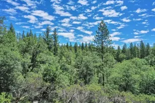 17008 Bloomfield Ridge Pl, Nevada City, CA 95959 - Photo 34