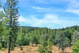 17008 Bloomfield Ridge Pl, Nevada City, CA 95959 - Photo 30