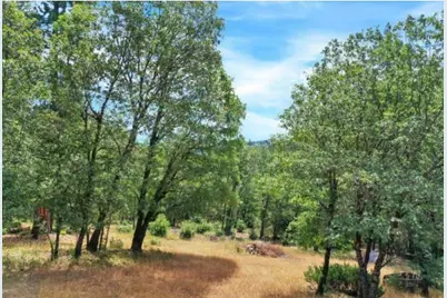 17008 Bloomfield Ridge Place, Nevada City, CA 95959 - Photo 36