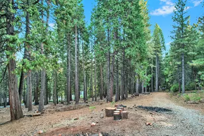 0 4440 Sly Park Rd, Pollock Pines, CA 95726 - Photo 6