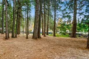 12555 Colfax Hwy, Grass Valley, CA 95945 - Photo 34