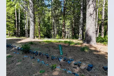 13136 Woodstock Drive, Nevada City, CA 95959 - Photo 1