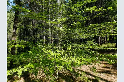 13136 Woodstock Drive, Nevada City, CA 95959 - Photo 26