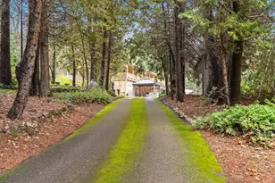 18774 Challenge Cutoff Rd, Forbestown, CA 95941 - Photo 64