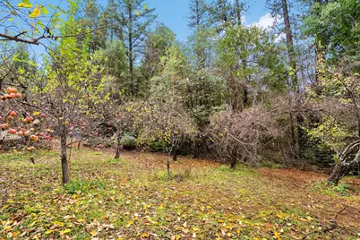 18774 Challenge Cut Off Road, Forbestown, CA 95941 - Photo 84