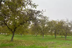 10201 E Fairchild Rd, Stockton, CA 95215 - Photo 1