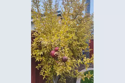 2500 Cottage Pointe Drive, Riverbank, CA 95367 - Photo 38