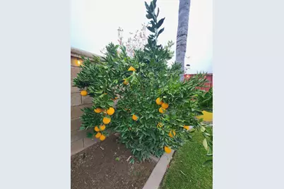 2500 Cottage Pointe Drive, Riverbank, CA 95367 - Photo 36