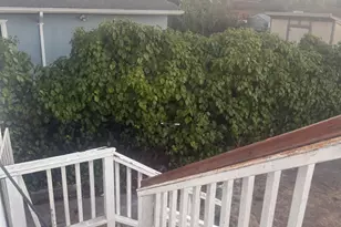 413 S 8th St, Richmond, CA 94804 - Photo 18