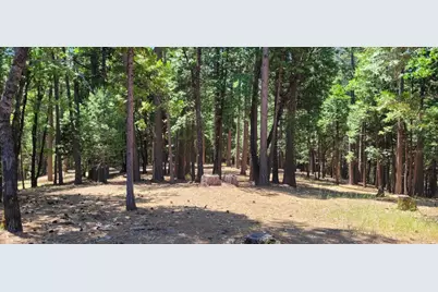 4790 Sierra Springs Drive, Pollock Pines, CA 95726 - Photo 2