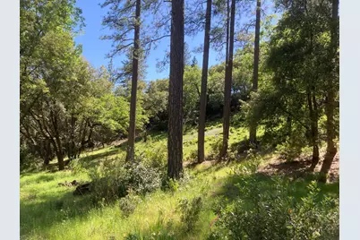 16688 Sonshine Lane, Sutter Creek, CA 95685 - Photo 56