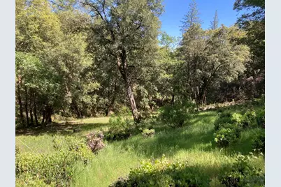 16688 Sonshine Lane, Sutter Creek, CA 95685 - Photo 58