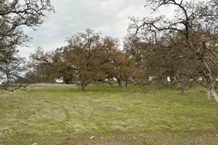 6583 Western Sierra Way, El Dorado Hills, CA 95762 - Photo 4