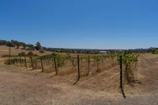 9079 Miller Way, Plymouth, CA 95669 - Photo 78