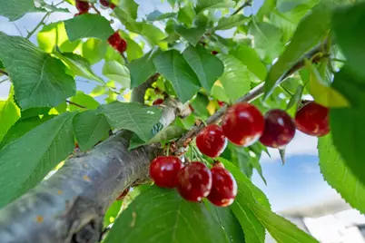 N Highway 88 #7A, Lockeford, CA 95237 - Photo 32